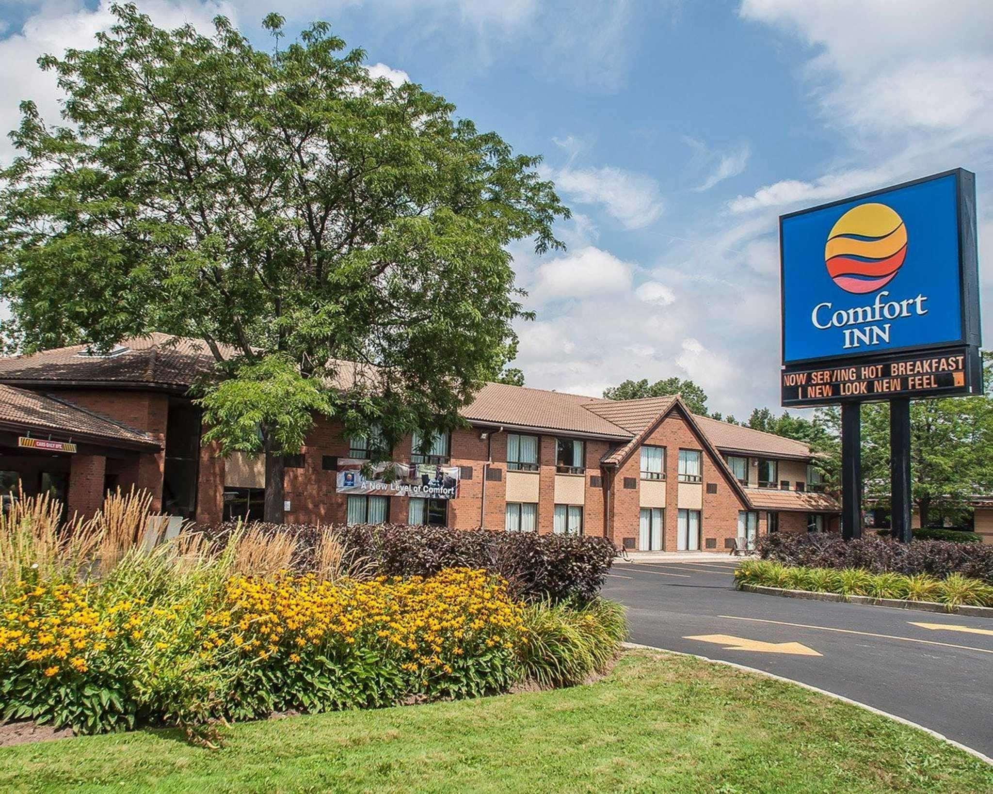 Comfort Inn Simcoe Buitenkant foto