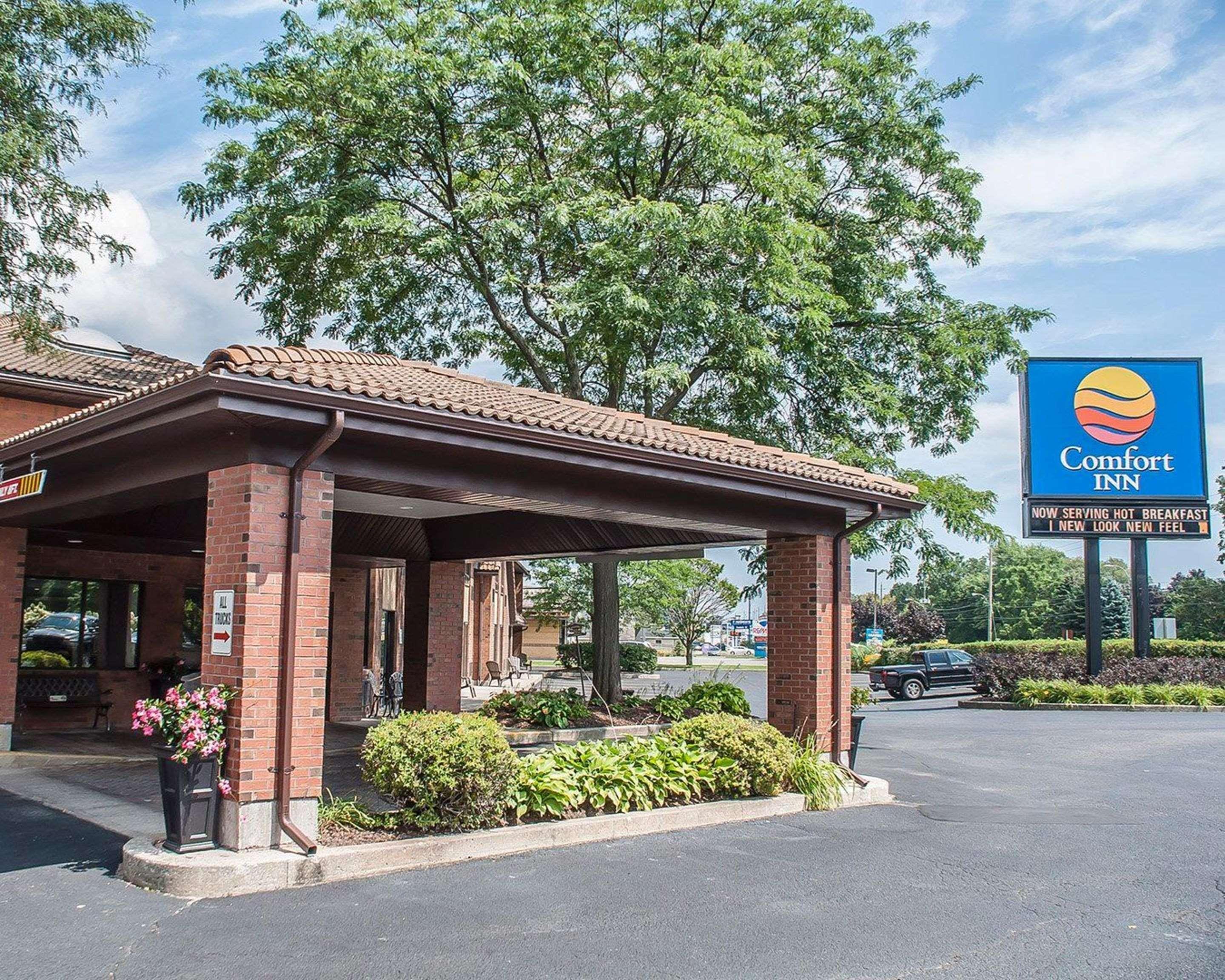 Comfort Inn Simcoe Buitenkant foto