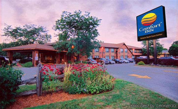 Comfort Inn Simcoe Buitenkant foto